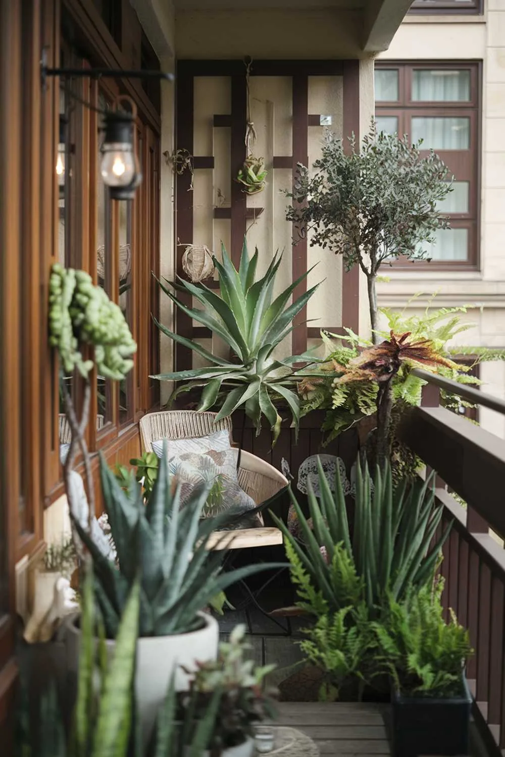 23 Perfect Balcony Plants Ideas for Small Spaces 8 A balcony with a stylish design and decor idea. There are various plants of different sizes and types, including succulents, ferns, and a small tree. The balcony has a wooden railing and a few decorative items, such as a lantern and a small wooden chair. The background reveals a building with a few windows. The overall image has a warm, inviting atmosphere.